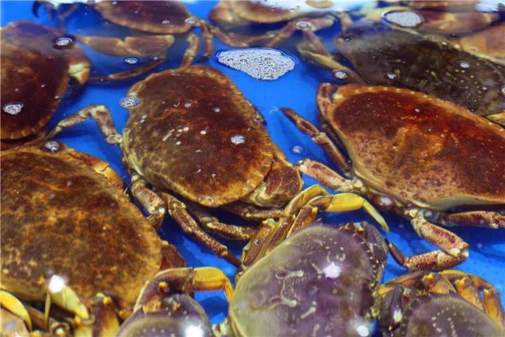 【時(shí)代儒商】膠東碼頭海鮮城淮揚(yáng)菜、魯菜、海鮮超多美味！滿足您的味蕾~~