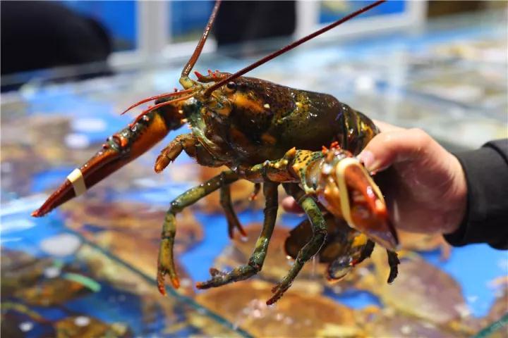 【時(shí)代儒商】膠東碼頭海鮮城淮揚(yáng)菜、魯菜、海鮮超多美味！滿足您的味蕾~~
