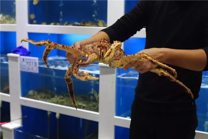 【時(shí)代儒商】膠東碼頭海鮮城淮揚(yáng)菜、魯菜、海鮮超多美味！滿足您的味蕾~~