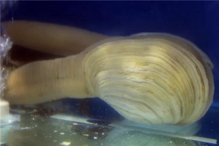 【時(shí)代儒商】膠東碼頭海鮮城淮揚(yáng)菜、魯菜、海鮮超多美味！滿足您的味蕾~~