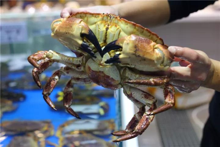 【時(shí)代儒商】膠東碼頭海鮮城淮揚(yáng)菜、魯菜、海鮮超多美味！滿足您的味蕾~~