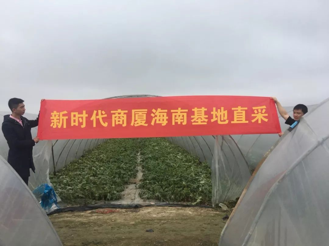 新時(shí)代商廈｜誠(chéng)信315 信用讓消費(fèi)更放心！